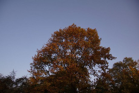 Bad Sassendorf